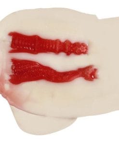 Arina Hashimoto Gokujo Namagoshi Ultimate Hips Mini - onahole japonais réaliste