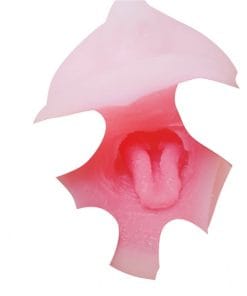 Face Hole Japanese Cosplayer Blowjob - onahole japonais réaliste