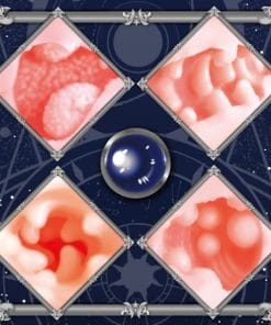 Astrologer Atelier Onahole - onahole japonais réaliste