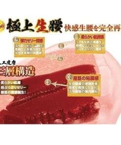 Gokujo Namagoshi SOFT ~ Hinako Mori - onahole japonais réaliste