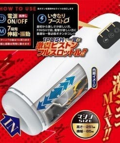 Dr. Zuriko's Laboratory -- IKINARI Piston Onahole - onahole japonais réaliste